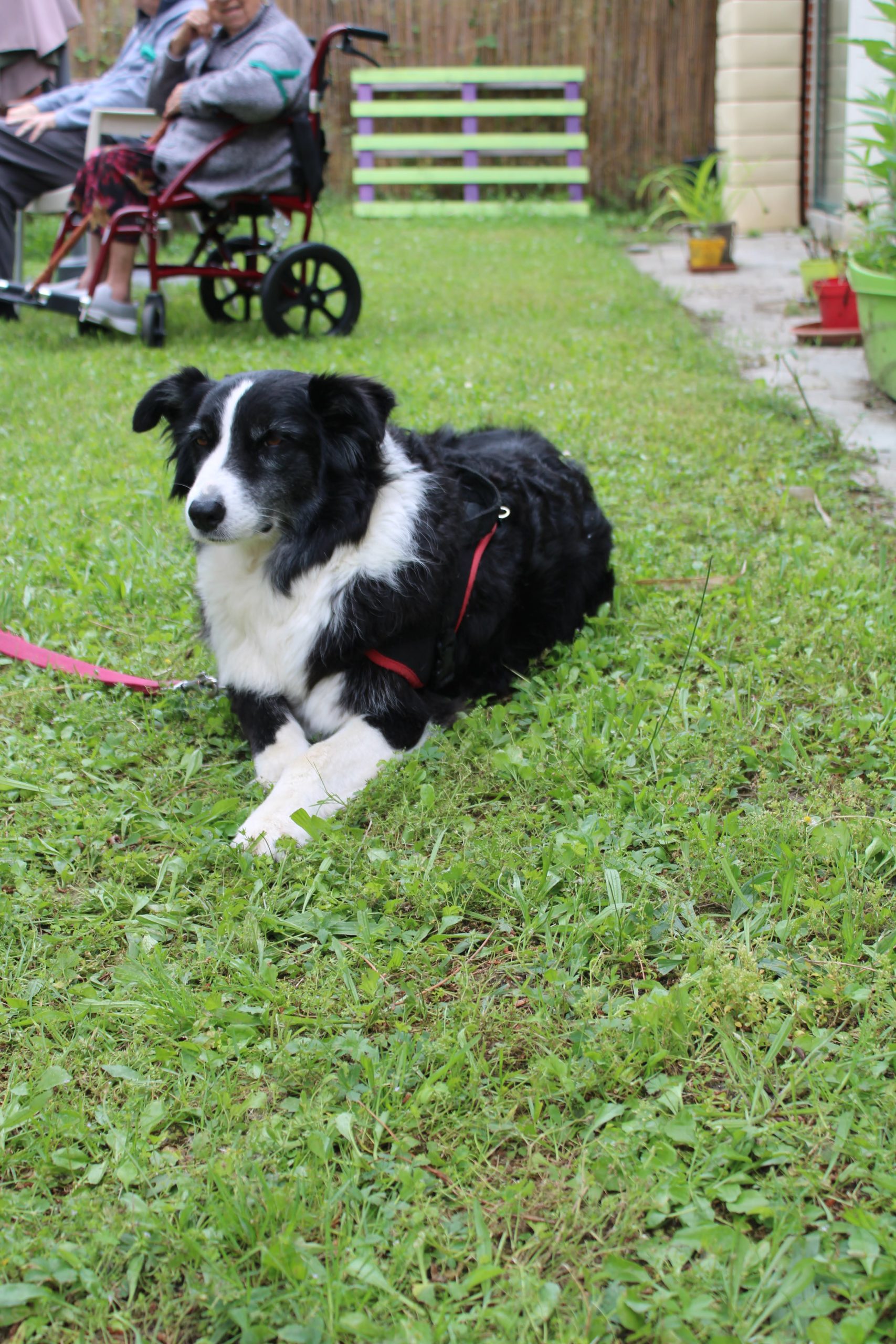 domaine-de-la-cadene