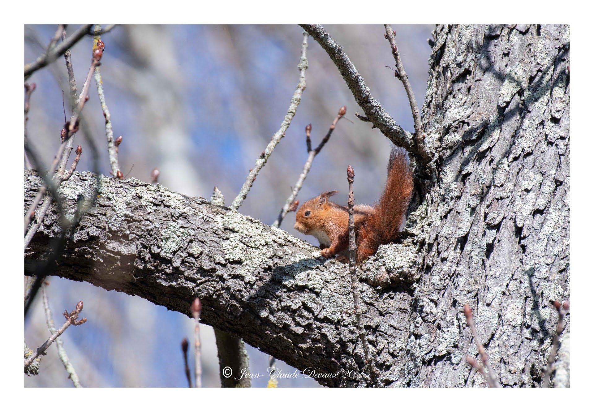 domaine-de-la-cadene