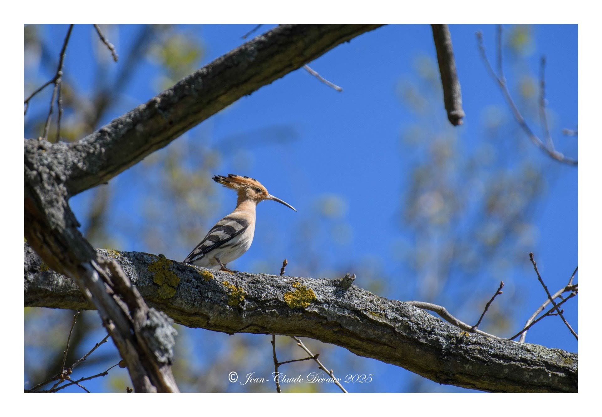 domaine-de-la-cadene
