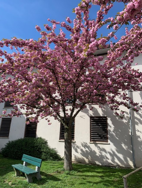 domaine-de-la-cadene