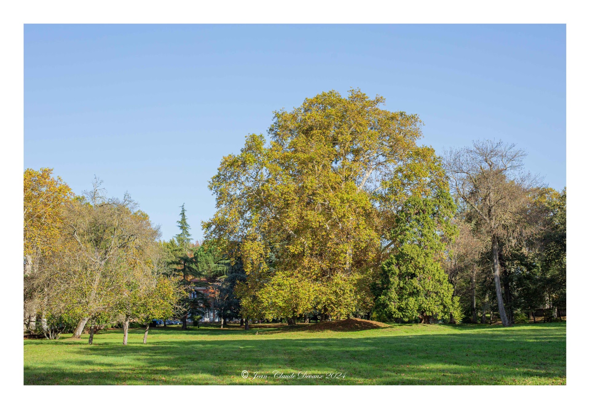 domaine-de-la-cadene