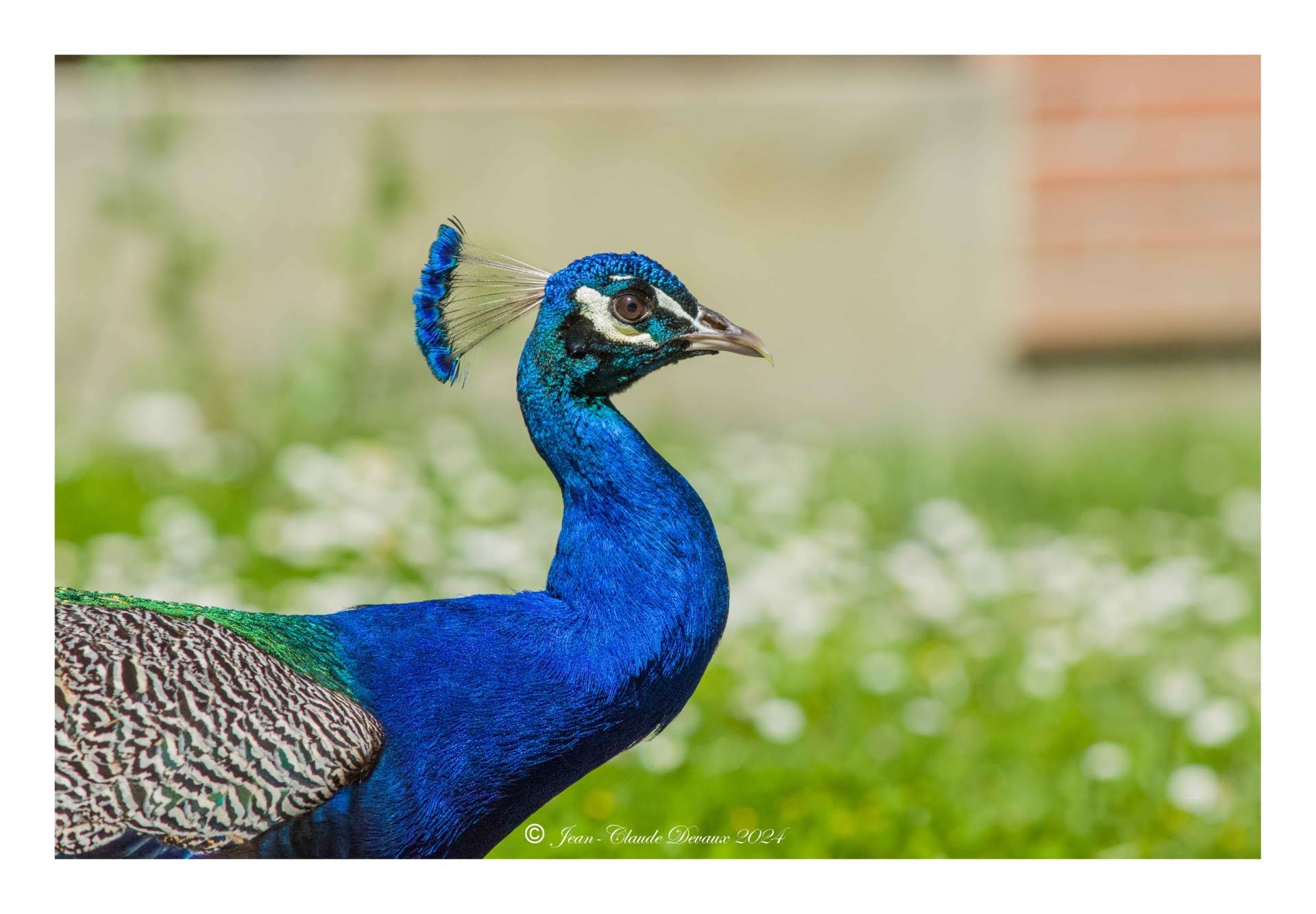domaine-de-la-cadene